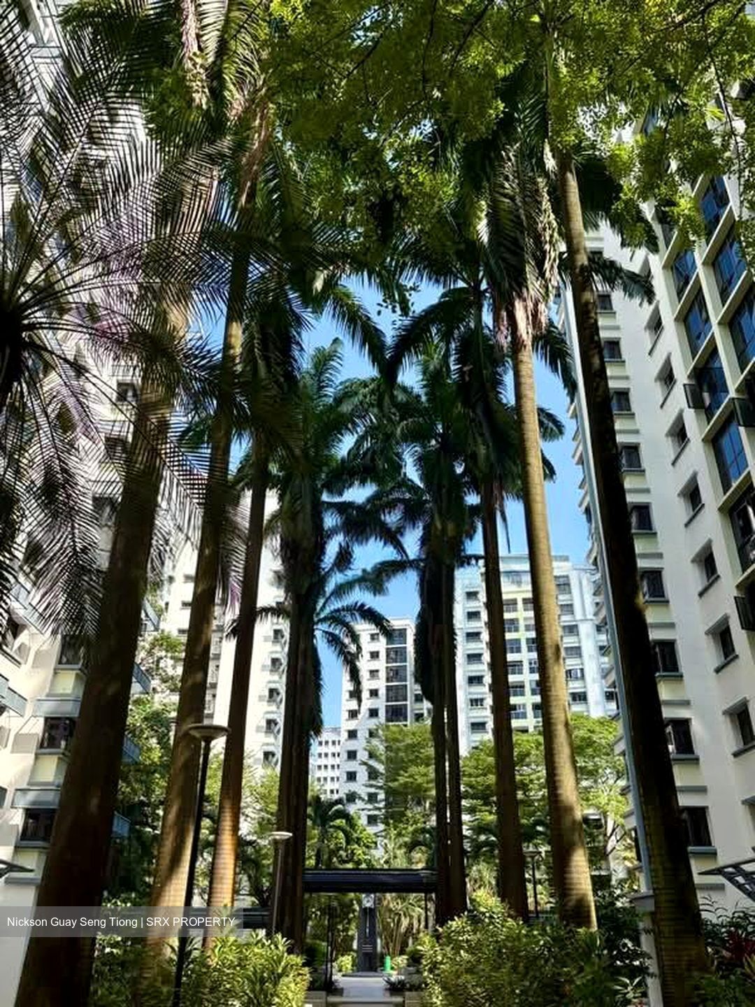 Jurong West Street 62 (Jurong West), HDB 3 Rooms #589427221